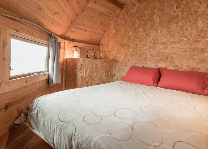 Kota Gospodarstwo wiejskie *