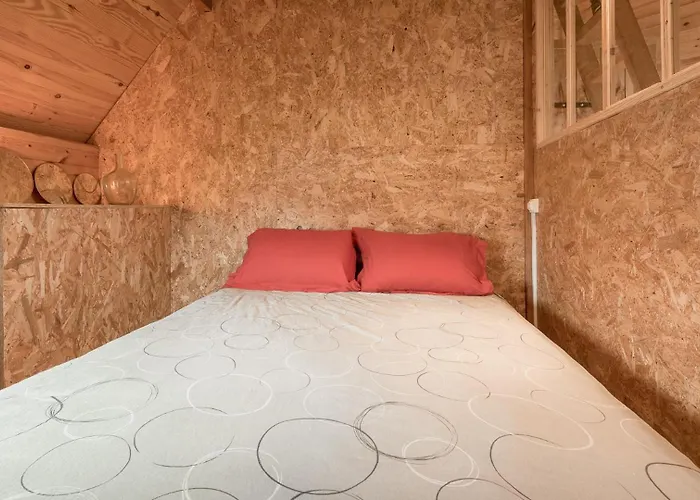 Kota Gospodarstwo wiejskie Morannes sur Sarthe-Daumeray